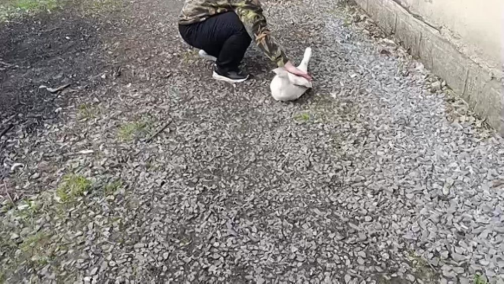 ���� ��������: � �� �����-������ ������ ������ ���� ������ ����, ����� ������, ��������� � ��������� �����?