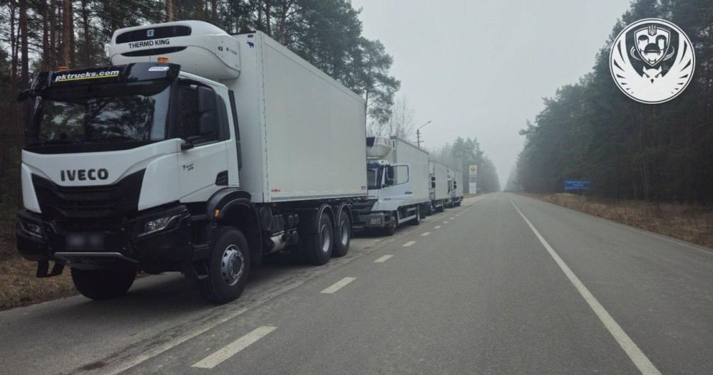 Украина сообщает о получении 909 погибших своих военных с Кураховского, Покровского, Бахмутского, Угледарского, Луганского и Запорожского направлений