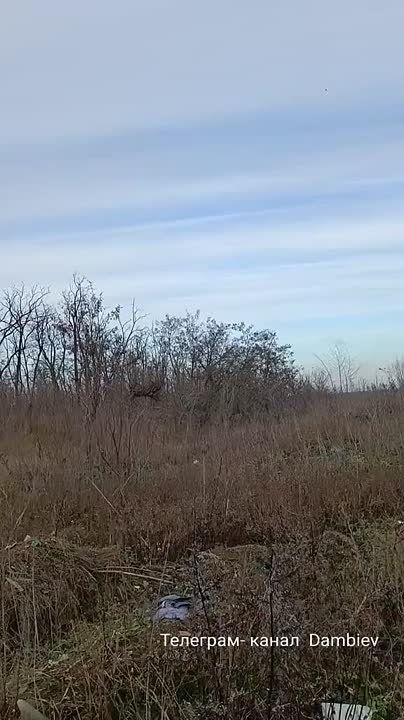 ������ �������: ������� "�����" �� ���������� "����������� ����" �� ����-�������� �����������