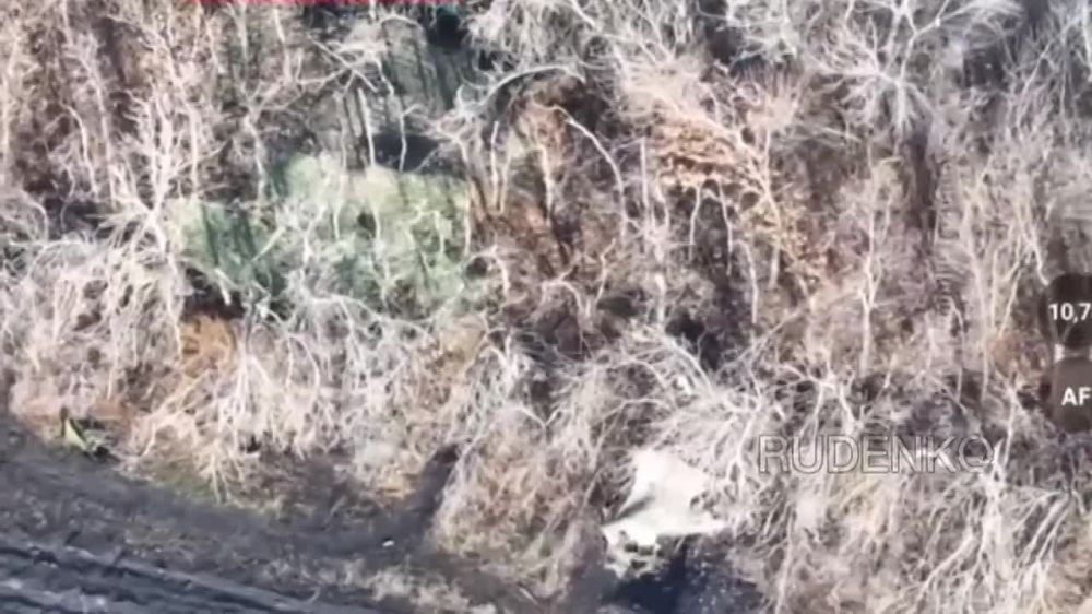 ������ �������: ����� ������������ �������� ����������� ���� 82 �� ��������� ��� �� ��������������� ������� �������� ��������������� 20-� ����������� ������������� ����� ����������� ����� ������ � ���� ���������� ��� � ���