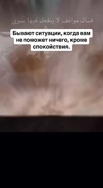 ���������� �����������. #�������������������