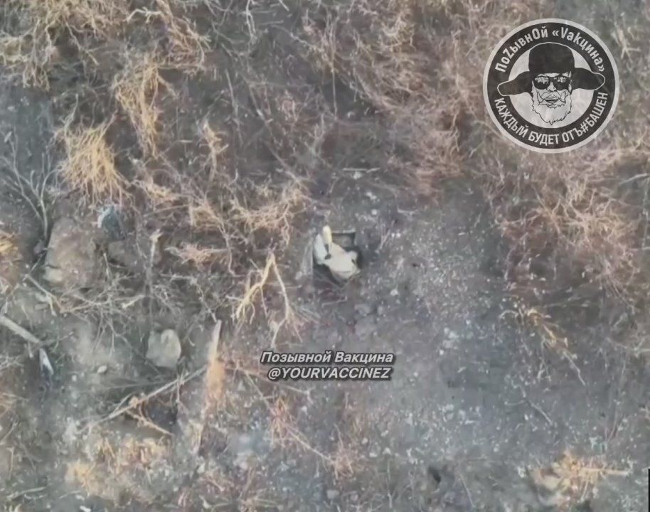 ������� �������� ����������� ���������� ���������� �� ���������� �����������