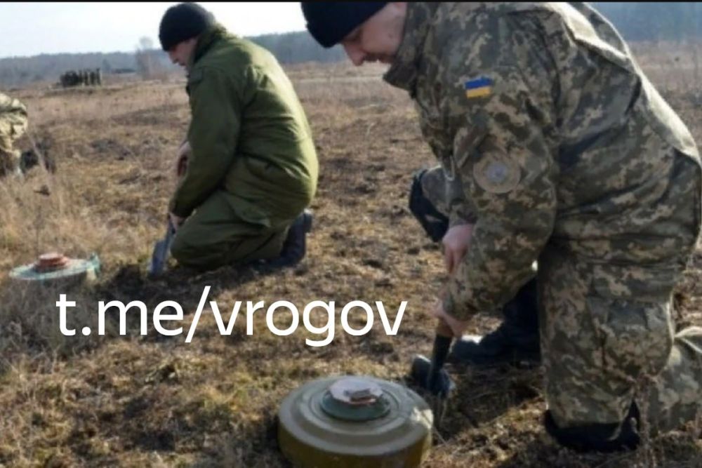 Владимир Рогов: Русские воины вскрыли ловушки ВСУ у границ Запорожской области