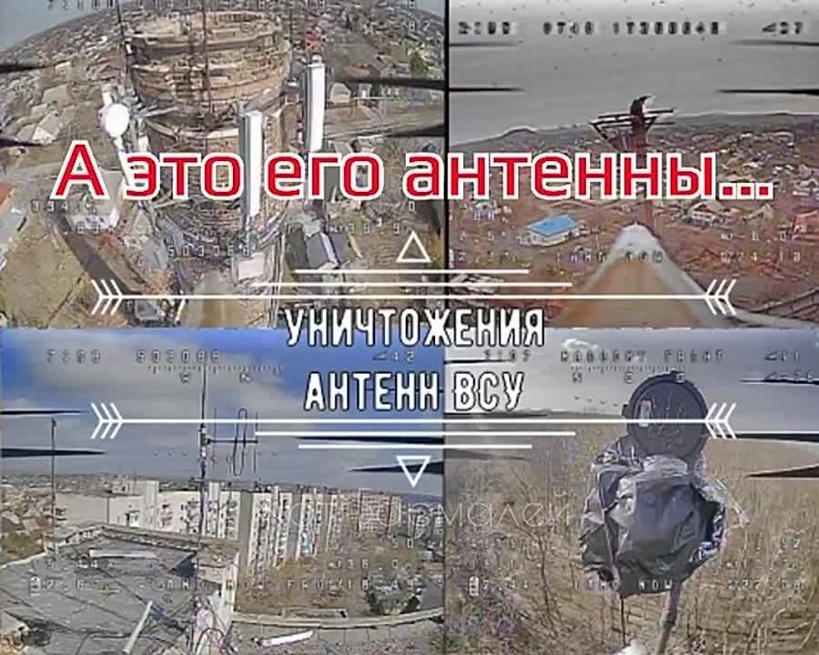���������� �������� ��������� � ������ ����������