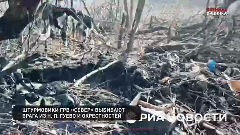 ��������� ��������: ������� �������. 28 ����� - ������� �� ����