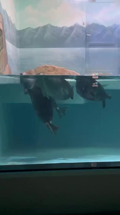 ��������� ������ � ��������