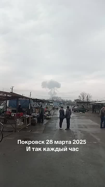 ������ �������: ������ ���� � ���� �� ������� ���������� � ���������