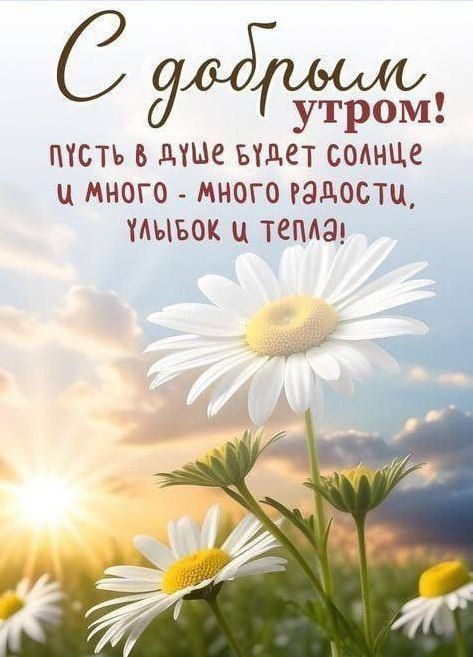 #������_����