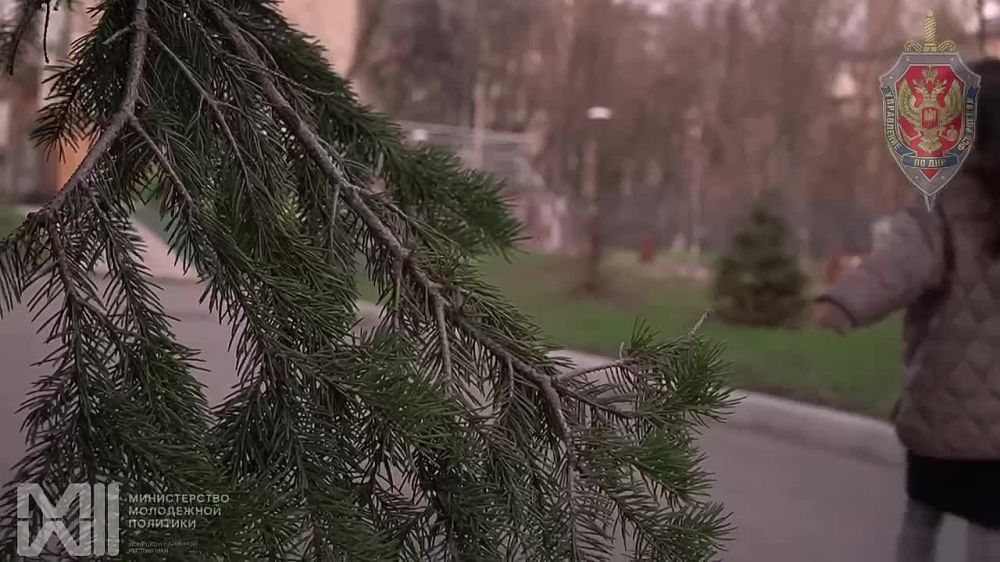 �� �� ����� ���� �����. ���������� �����, ������������� �������, �����