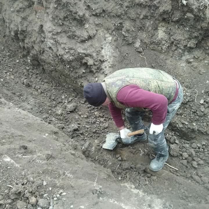 ��������� �������: ������ ������� ������ �� ������� ��������� � �����������