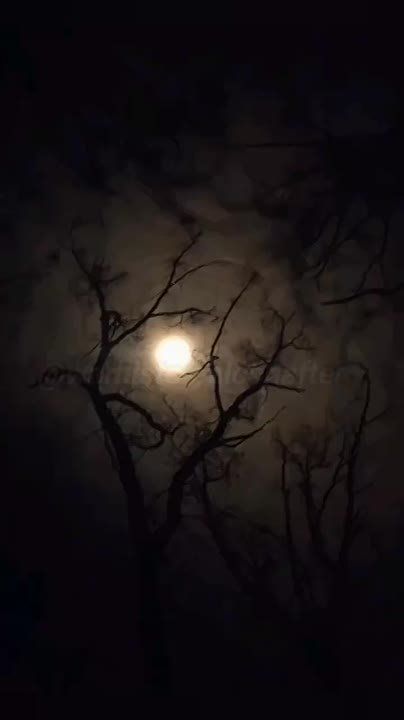 ��� ������: #������ �� ���� 31 ����� 2025 ����