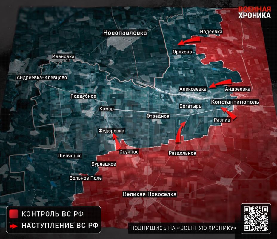 Комаровское направление: битва за Разлив и стратегическая развилка