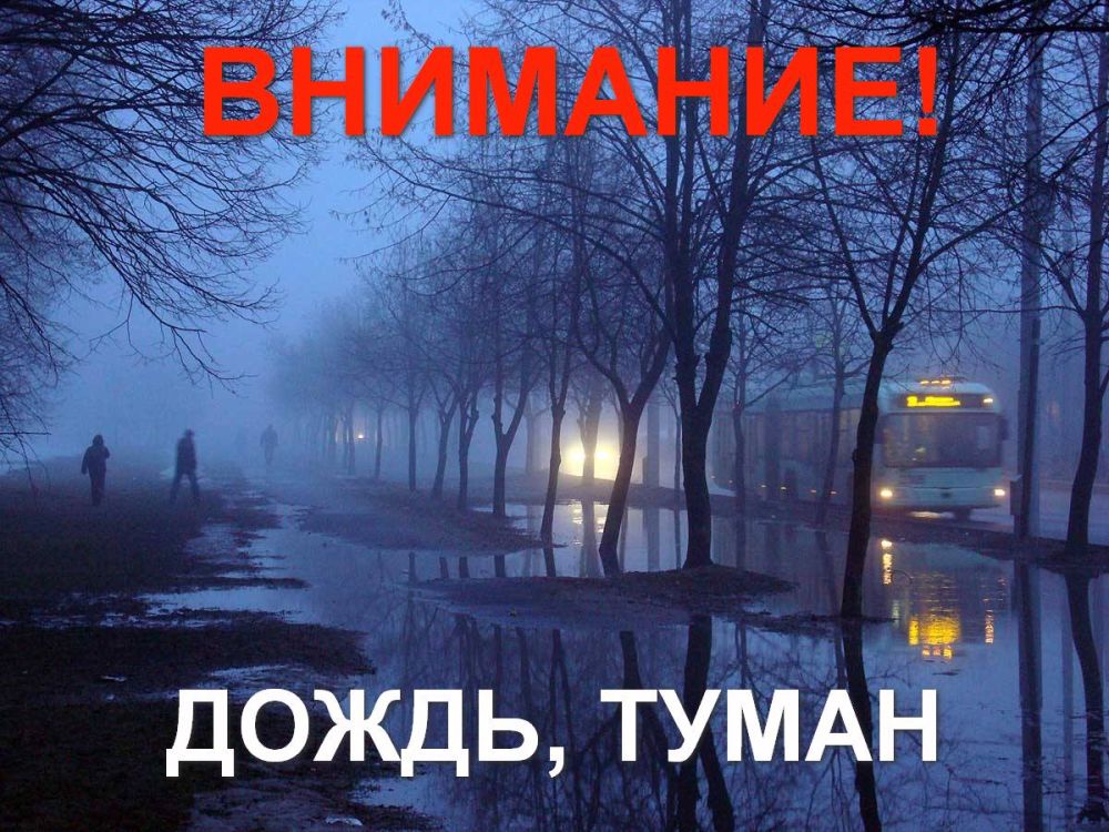 ����� �����: ��� ���: ��������� �����, �����