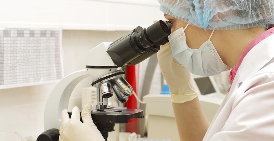 ������ ����������: �� ���� ���������������� ������������ ������������������������ ���������� � ������� �������� ����� ������ ����������