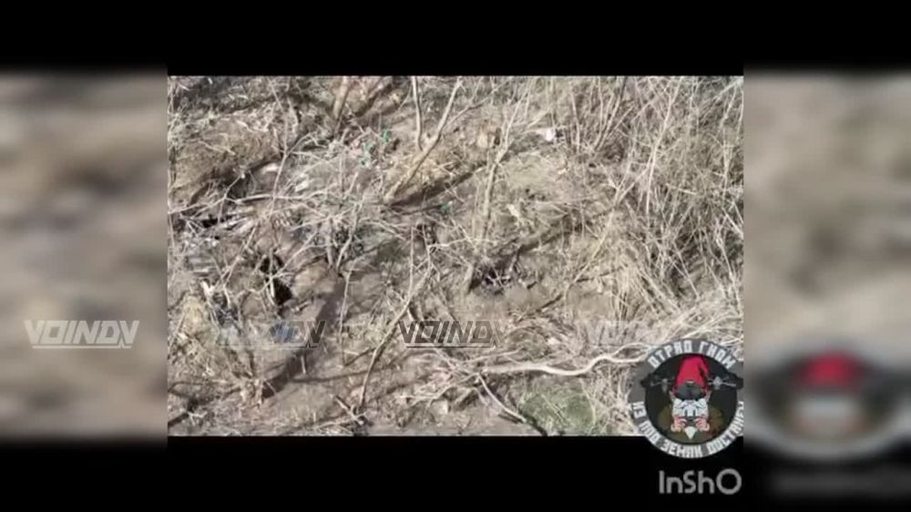 ��������� ���� ������ "����" 143 ��������������� ����� 127 �������������� ������� ����������� "������" ���������� ����� ���� � ���������� �������� �� ����-�������� �����������