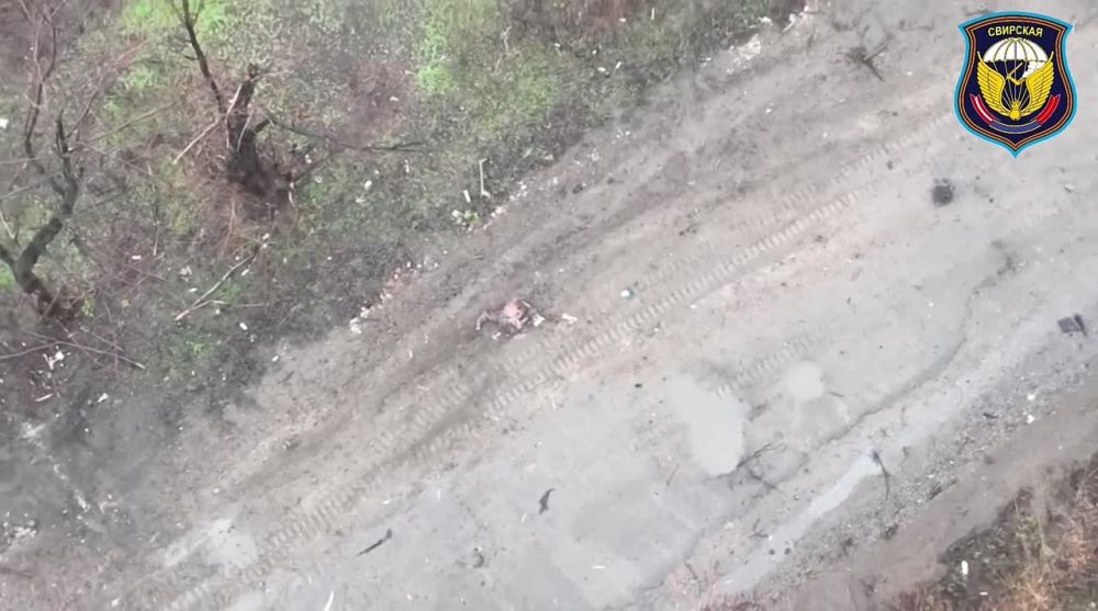 ��������� �������: ����� ������ ���������� �� ����� �������� �����������