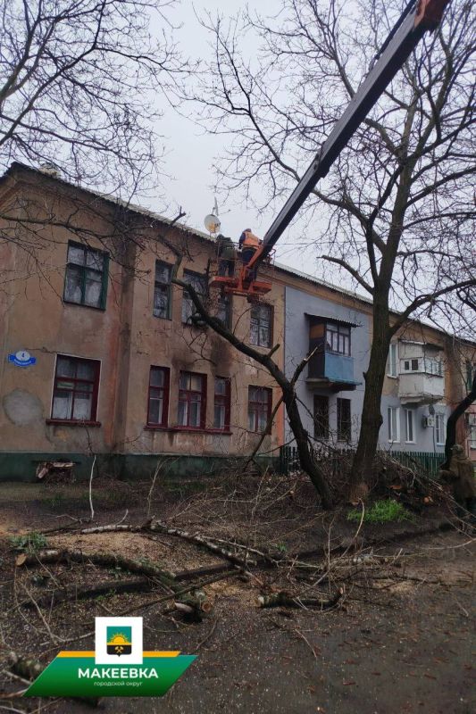 Силами коммунальных служб были проведены работы по кронированию деревьев