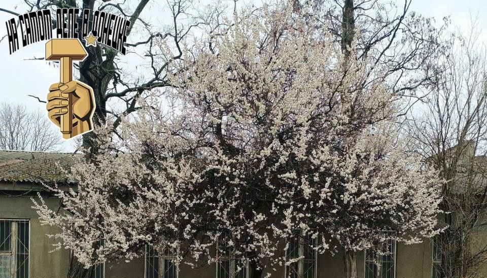 � ������� ������, ��� ������, ������� ��������