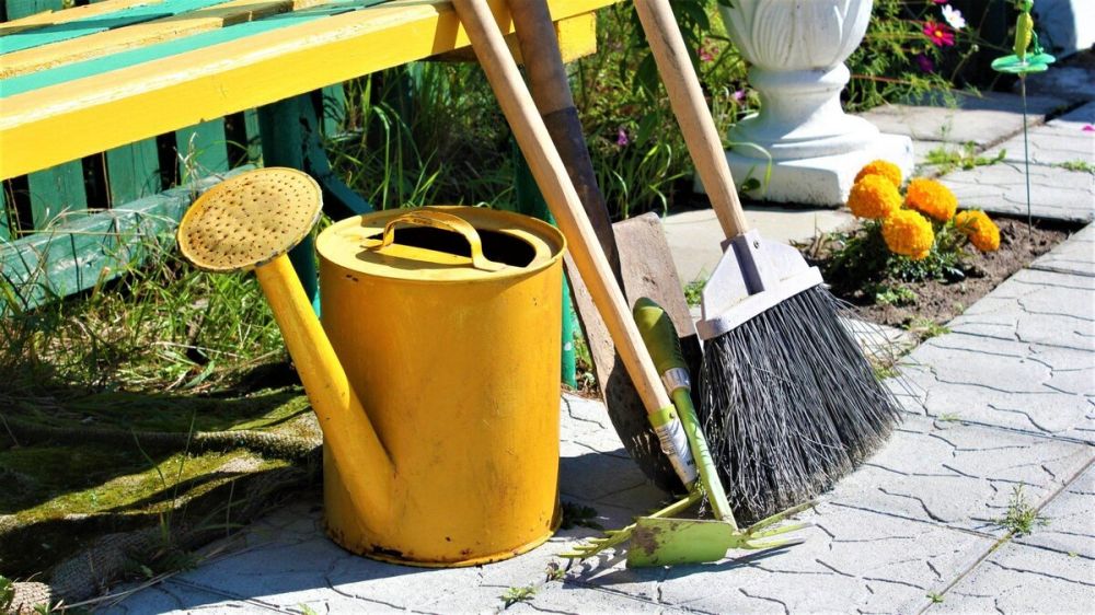 ��������� ��������: ��������� �������������!. 5 ������ � ������ ��������� ��������������� �������� ������� �� ������������ ����� �������� �������� ���������� ������ �������� ��������� ������������������� ���������