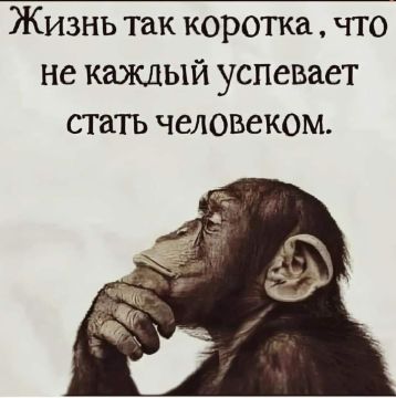 Философия жизни. Телеканал