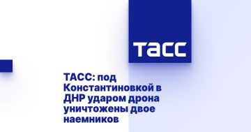 ТАСС: под Константиновкой в ДНР ударом дрона уничтожены двое наемников