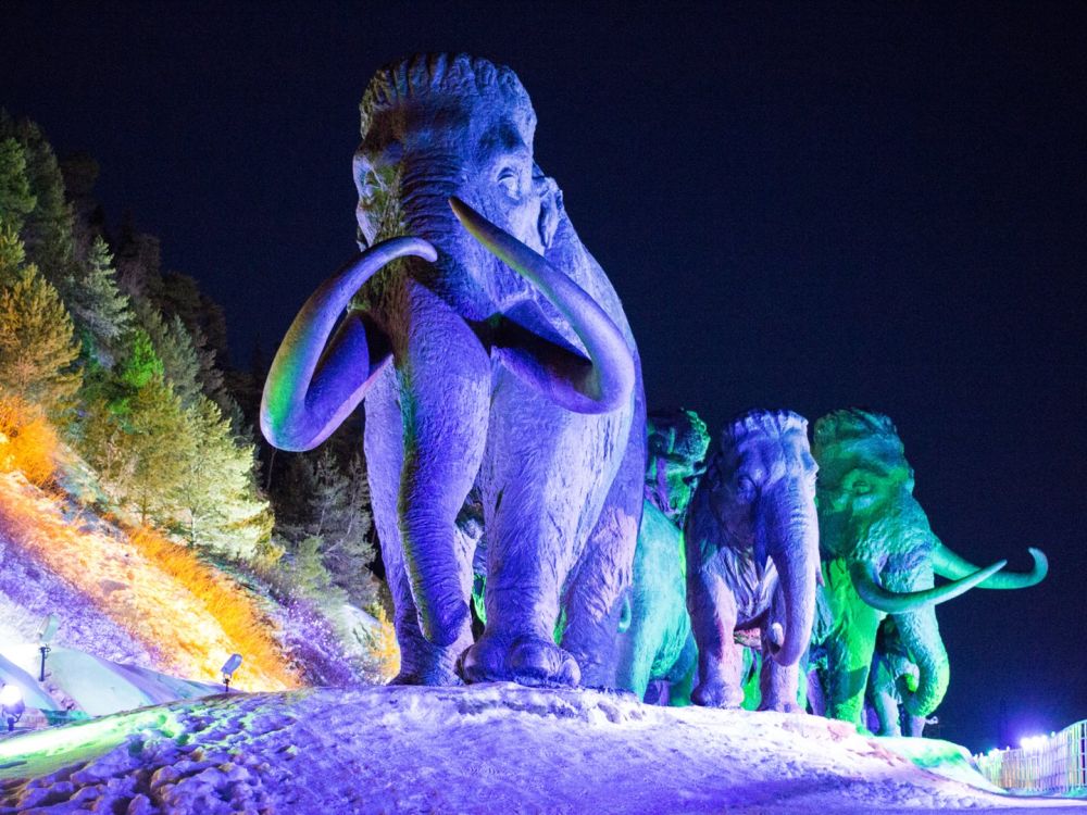 � �������� ��������� ���������� � �������� ����