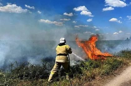 В ДНР за пал сухой травы будут привлекать к строгой ответственности