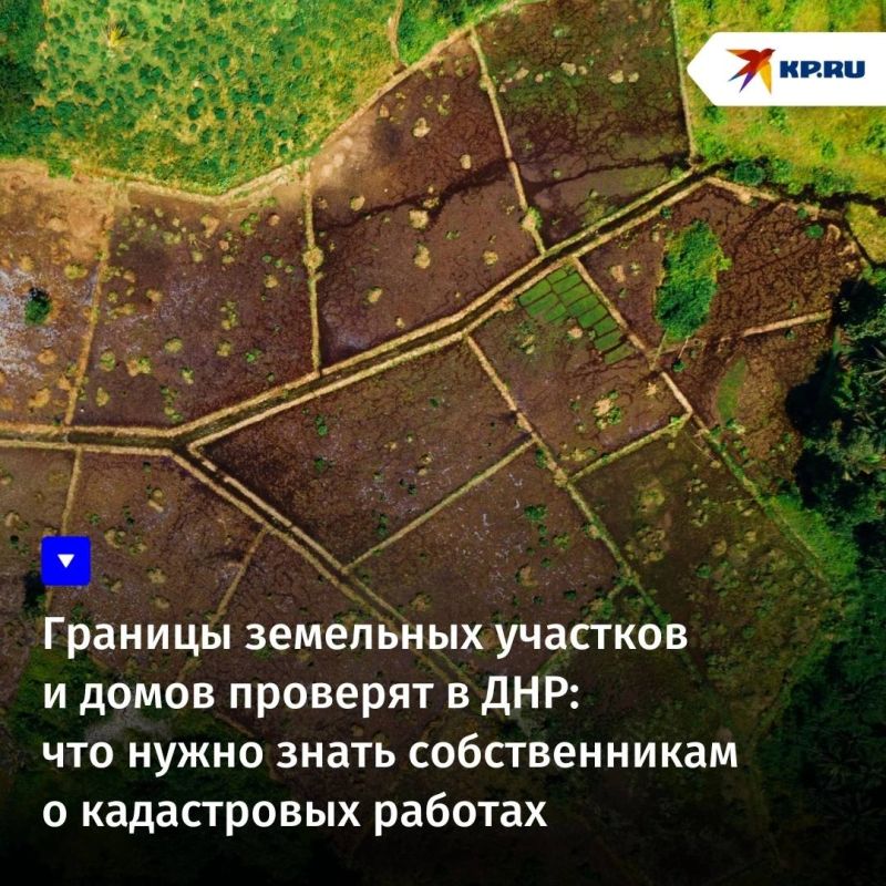 � ���� ���� � ���������� �������� ����������� ����������� ������