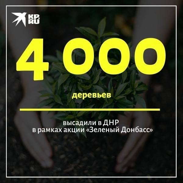 �� ������ ��� ������ ��������� �� ��������������� � ���������� �������� �������, ������������� � 80-����� ������, � ��� ���� �������� ����� ������� ����� ��������, ����������� � ������