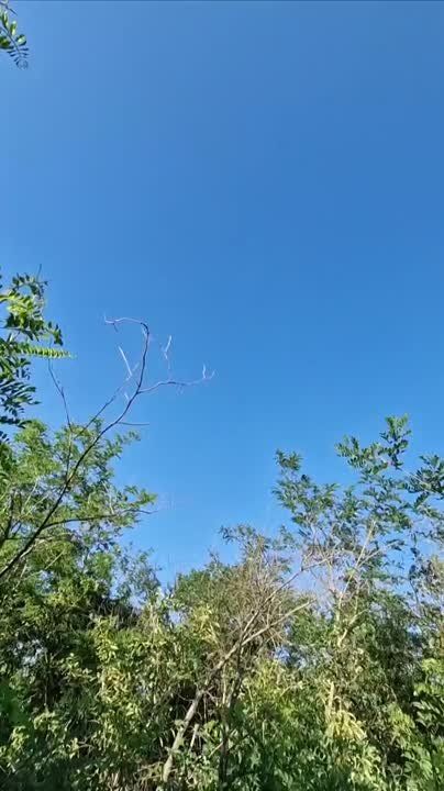 ���������� ����� ����������: �������� ����� ��������� ������� ������� ������
