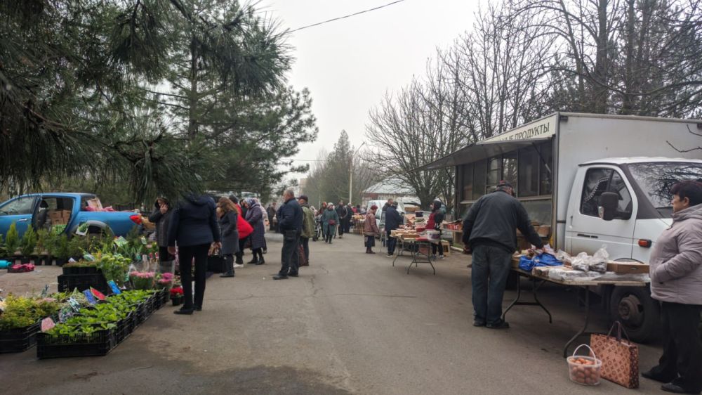 ������� ��������: � ������� ����������� ������ �������� �������