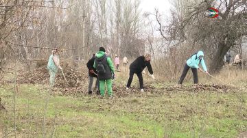 Грядёт очередной субботник