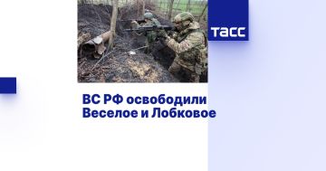 ВС РФ освободили Веселое и Лобковое
