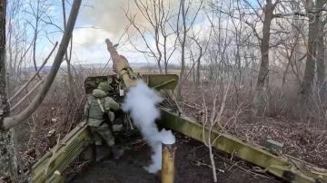 Российские силы освободили Веселое в ДНР и Лобковое в Запорожской области