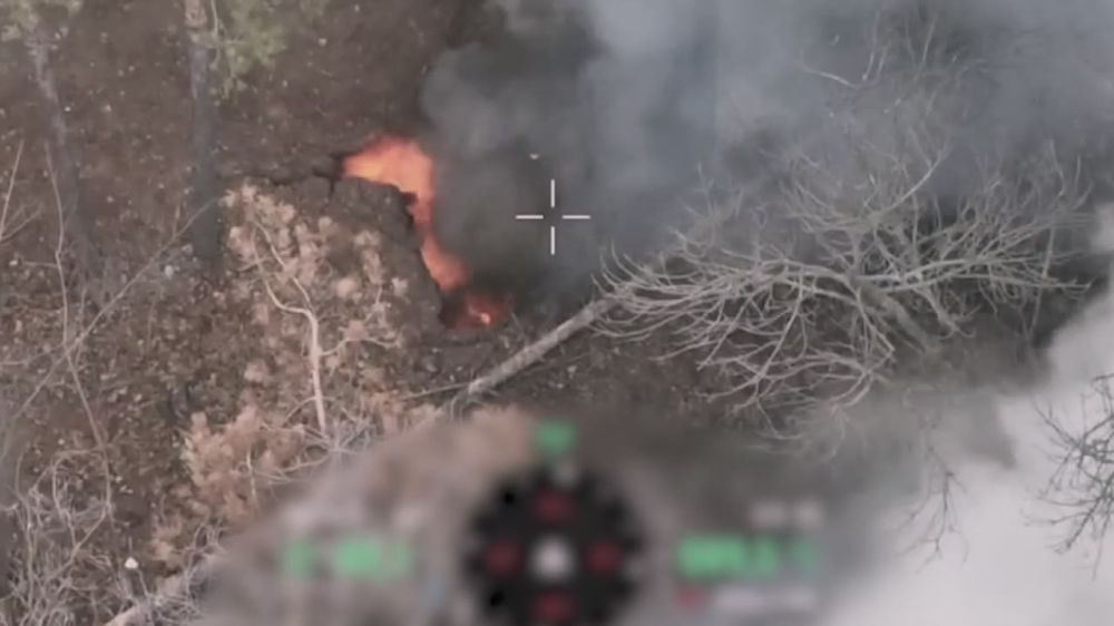 ������ �������: ����������� ���������� ��������� ������ �������� ��� �� ����-�������� �����������