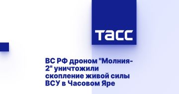 ВС РФ дроном "Молния-2" уничтожили скопление живой силы ВСУ в Часовом Яре