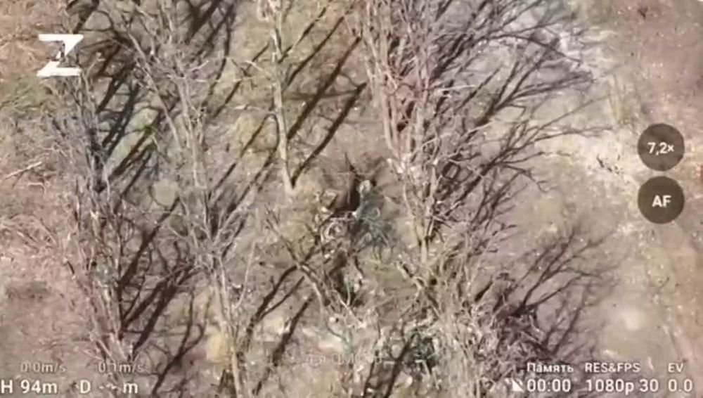 ������������ ����� 4-�� ����� �� ��: ����������� �� �� �������� ��������� ���������� � ���������� ����������� � ������ ������ ���