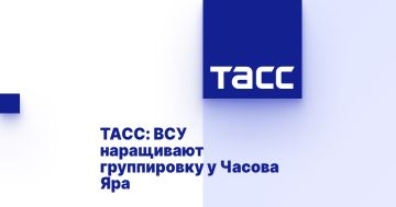 ТАСС: ВСУ наращивают группировку у Часова Яра