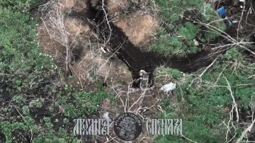Российские военные освободили населенные пункты Лобковое (на видео) в Запорожской области и Веселое в ДНР