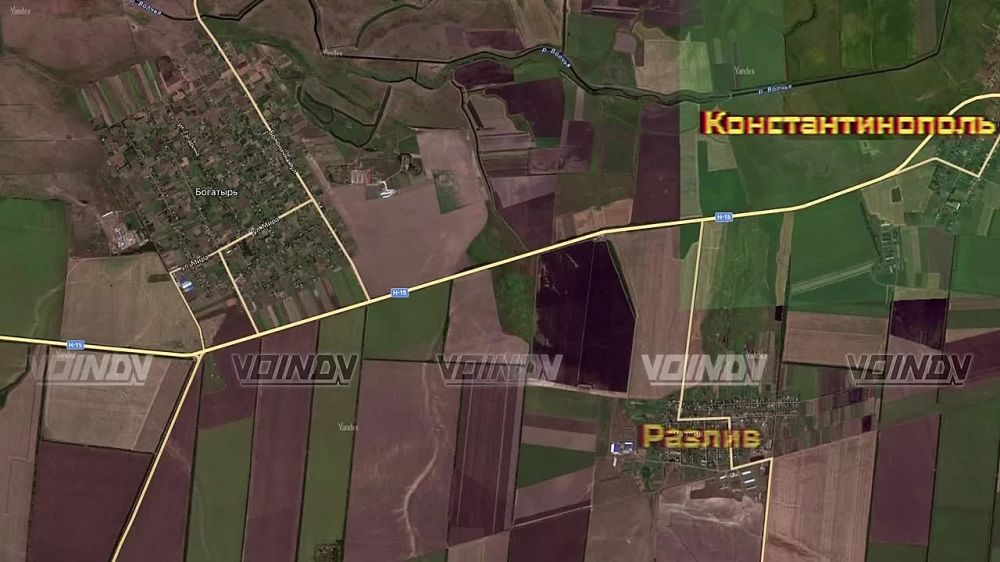    International Maxx Pro   ..    