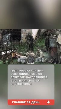 ВС РФ освободили населенные пункты Веселое в ДНР и Лобковое в Запорожской области, сообщили в МО России