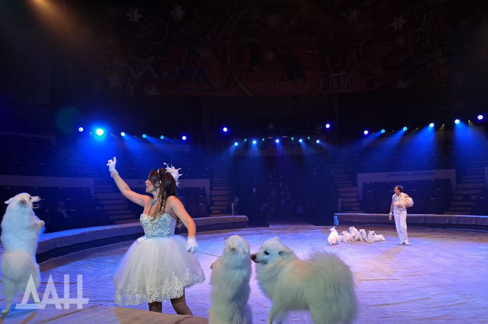 ����������� �������� 206 ��� ������ �� �������� ������������ ��������