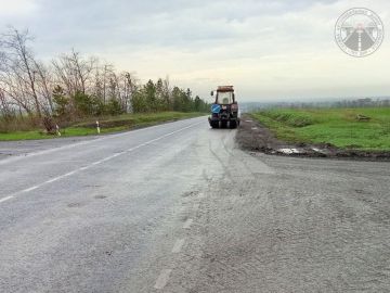 #свод_за_сутки  #весенне_летнее_содержание