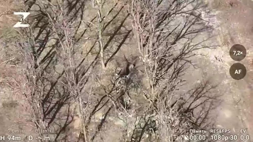 ��������� �������: ������� ������ ��� � �����