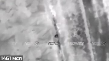 Операторы БпЛА 1461 мотострелкового полка, 5 отдельной гвардейской танковой бригады и 14 отдельной гвардейской бригады спецназа группировки "Восток" уничтожают нацистов ВСУ на Шахтерском направлении