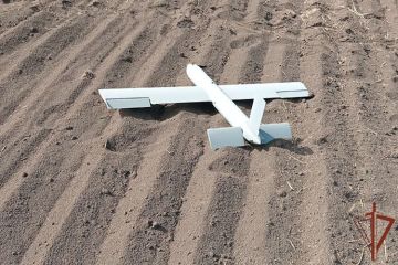 Росгвардейцы и сотрудники военной контрразведки обнаружили и обезвредили вражеский БПЛА в ДНР (видео)