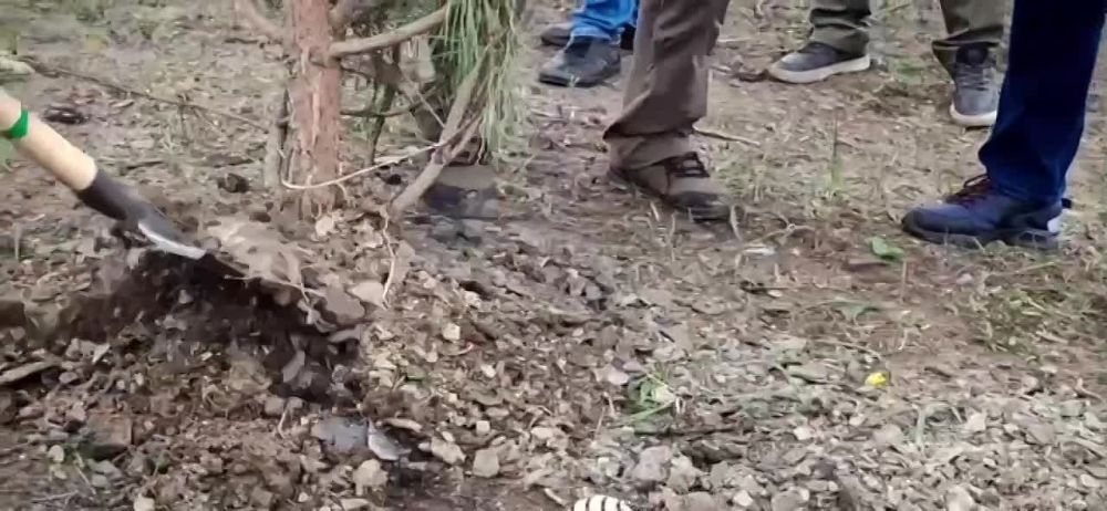 � ��� ������� ������� � 80-� ��������� ������ � ������� ������������� �����