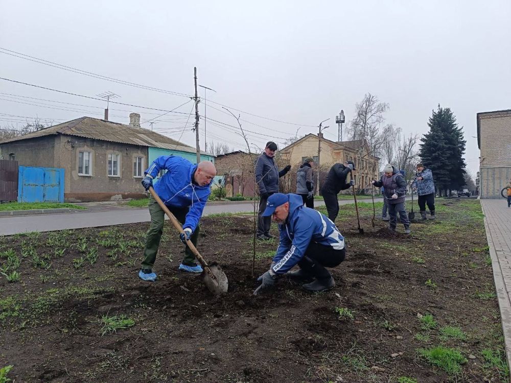 Депутаты Народного Совета приняли участие в общереспубликанском субботнике