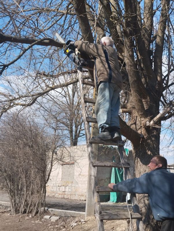 ������� �������: �� ��������� ����� �������� �������� ���������� ������ ������������� ��������, ������������ ������������� ����� ������������� � ���������������� ����������.