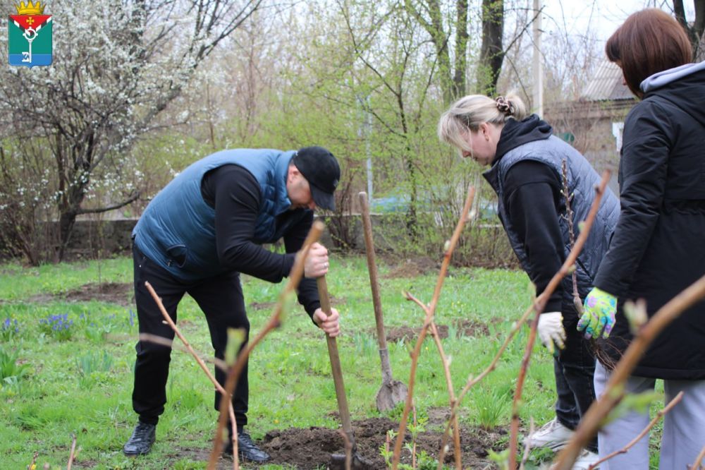 ��������� ��������: ������� ��������� � ������������� ���������������� �������������� ������ ������� �����������, ��������������� ������������� ������ � ���������������, ������������ � ��� �. ��������, ������� ������� �...